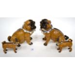 A Pair of Meissen Style Porcelain Figures of Pugs, circa 1900, naturalistically modelled and painted