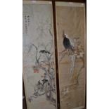 Chinese Scroll Paintings (19th century), a white Asiatic pheasant and three songbirds,