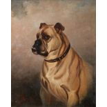 Colin Graeme Roe (1857-1910) ''Rex'' Signed and dated (18)96, oil on canvas, 49cm by 39cm See