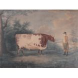 John Whessell after John Boultbee The Durham Ox Aquatint, image size 450mm by 600mm