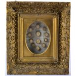 A Collection of Nine Various Plaster Cameos, after the Antique, in a glazed giltwood and gesso