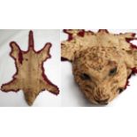 Taxidermy: Leopard Skin (Panthera pardus), circa 1900, skin rug with head mount, mouth agape in