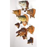 Taxidermy Fish: A Collection of Various Mounted Fish Heads, dating from 1960-2001, the collection to