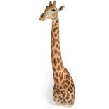 Taxidermy: South African Giraffe (Giraffa camelopardalis), circa early 21st century, a large high