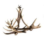 Antler Furniture: An Austro-German Red Deer Antler Chandelier (Cervus elaphus), constructed from