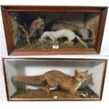 Taxidermy: A Cased Red Fox with Lapwing Prey, a Cased Diorama of Animals, a full mount Red Fox