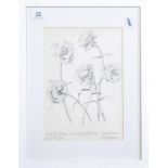Ramsey, Remak Pencil Drawing of Roses, 1990, framed and glazed. Dedicated from Remak to 'darlin'