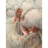 William Woodhouse (1857-1937) ''Red squirrels'' Signed, watercolour, 48cm by 36.5cm Provenance: