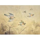 Rodger McPhail (b.1953) ''Sparrowhawk chasing Redwings'' Signed, watercolour, 36.5cm by 49.5cm