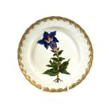 A Derby Porcelain Botanical Plate, circa 1790, painted with Gentiana Acaulis Large Flower Gentian