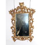 A 19th Century Italian Rococo Carved Giltwood Mirror, the bevelled glass plate within a flowerbell