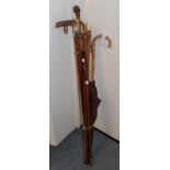 Rosewood walking cane with applied metal lizard, other canes and paragon fox umbrellas