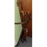 Fourteen various walking sticks and canes, including horn and bone handled examples
