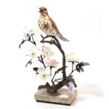 Albany Fine China Limited, a limited edition figure of a Song Thrush, 33cm high