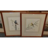 Anne Hopkinson (20th century), Redstart, signed, gouache, together with Yellowhammer, a further