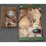 ^ A quantity of various shells including conch and mother of pearl, etc (two boxes)