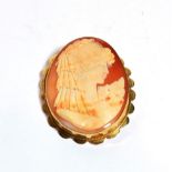 A 9 carat gold cameo brooch, measures 5.5cm by 7.3cm . Gross weight 24.0 grams