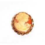 A 9 carat gold cameo brooch, measures 4.9cm by 6.0cm . Gross weight 21.3 grams.