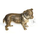 An Austrian cold painted bronze of a bulldog, late 19th century, stamped Geshutz