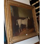 Edwin May Fox (act.1830-1870) Grey horse in stable, signed and indistinctly inscribed, oil on