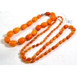 Two amber bead necklaces, lengths 41cm and 80cm . Gross weight 70.6 grams.