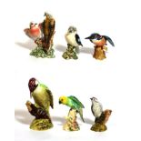 Beswick Birds Comprising: Turtle Doves, model No. 1022, Parakeet, model No. 930, Kookaburra, model