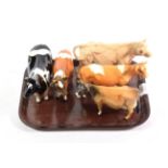 Beswick Cattle Comprising: Charolais Cow, model No. 3075A, Guernsey Cow, model No. 1248B, Jersey