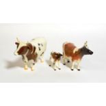 Beswick Cattle Comprising: Ayrshire Bull Ch. ''Whitehill Mandate'', model No. 1454B, Ayrshire Cow