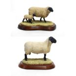 Border Fine Arts 'Suffolk Ewe and Lamb', model No. 119 by Ray Ayres and 'Suffolk Tup' (Style One),