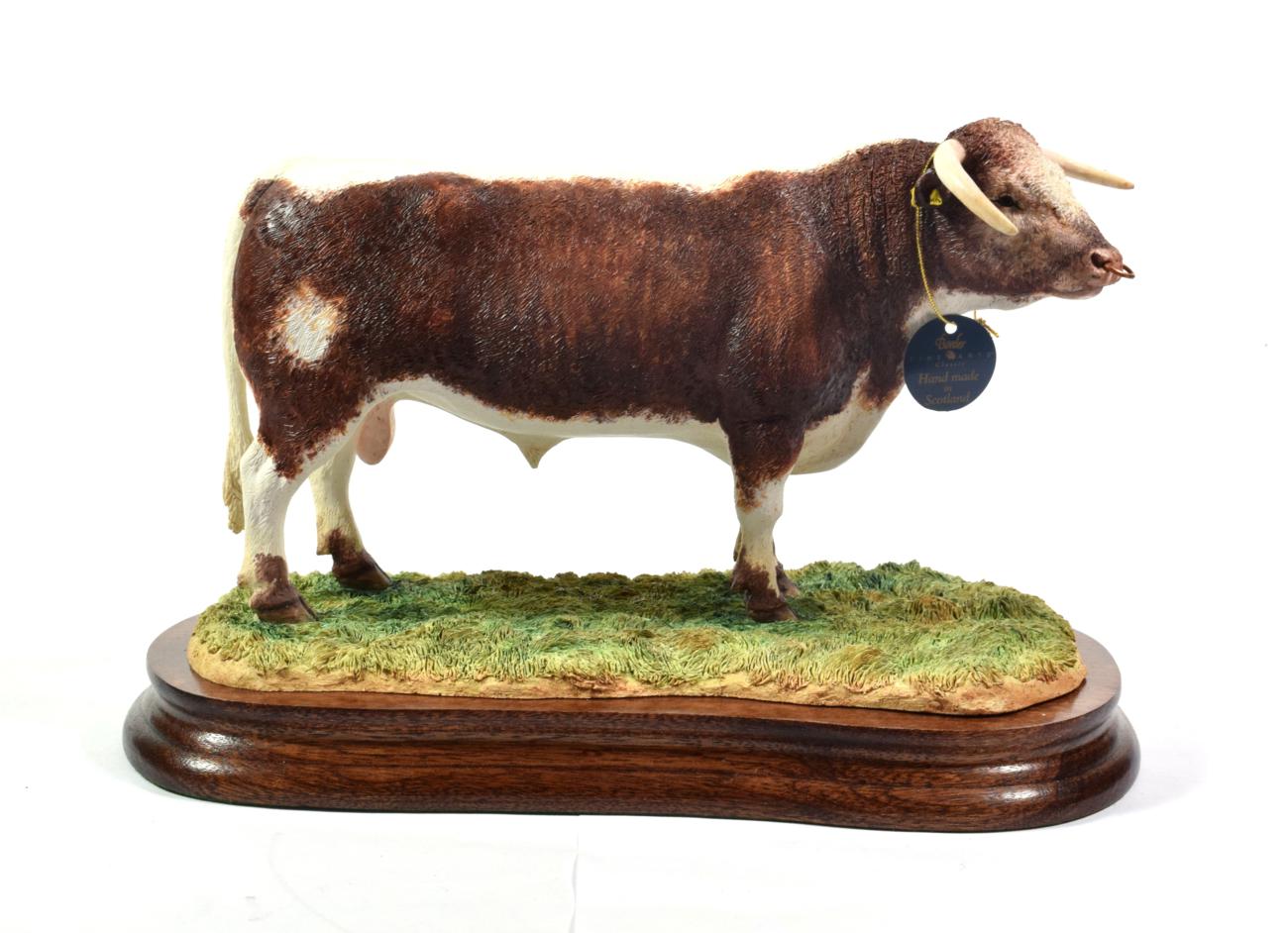 Border Fine Arts 'Longhorn Bull', model No. B1138 by Ray Ayres, limited edition 155/500, on wood