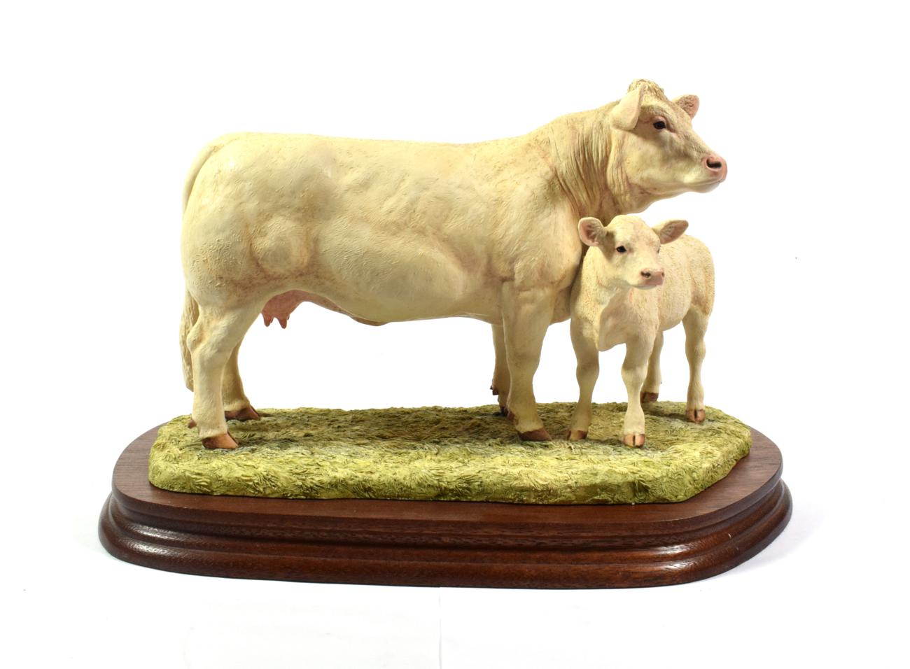 Border Fine Arts 'Charolais Cow and Calf' (Style One), moel No. L137 by Ray Ayres, limited edition