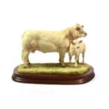 Border Fine Arts 'Charolais Cow and Calf' (Style One), moel No. L137 by Ray Ayres, limited edition