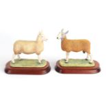 Border Fine Arts 'Blue Faced Leicester Tup' (Style One), model No. B0149, limited edition 919/950,