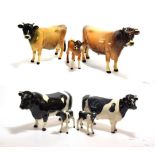 Beswick Cattle Comprising: Jersey Bull Ch. ''Dunsley Coy Boy'', model No. 1422, Jersey Cow Ch. ''