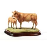 Border Fine Arts 'Blonde D'Aquitaine Cow and Calf', model No. B0353 by Kirsty Armstrong, limited