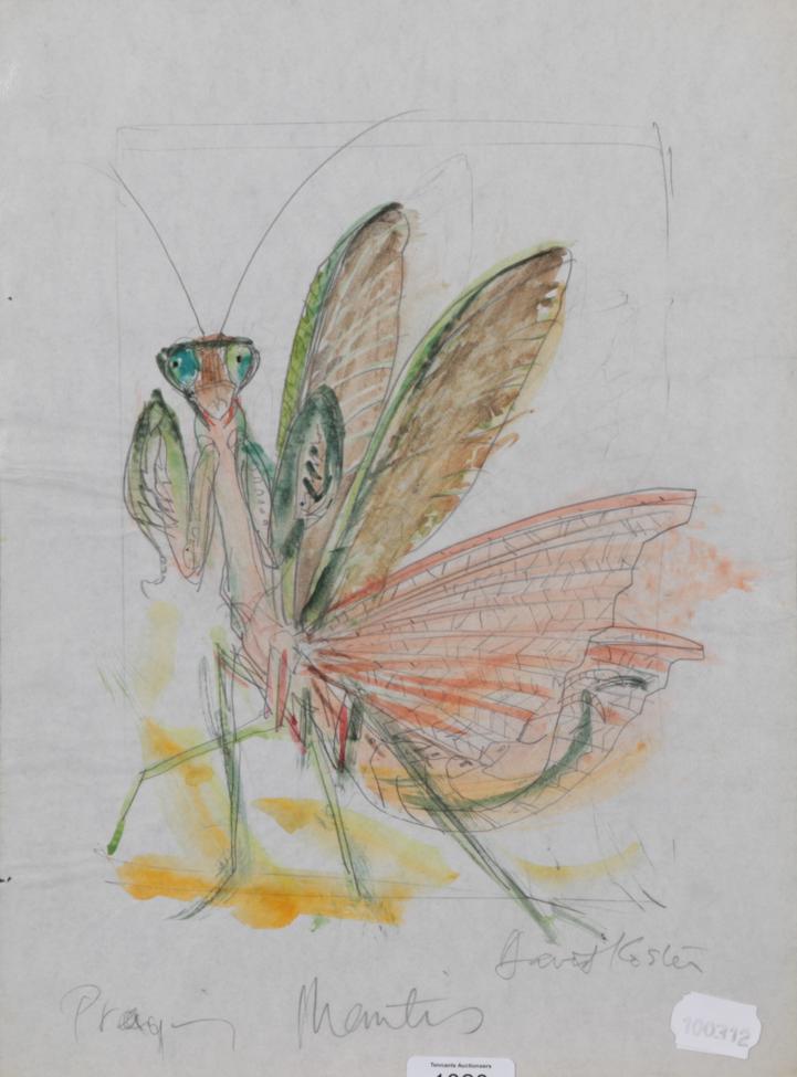 David Koster (1926-2014) Praying Mantis Signed and inscribed, pencil and watercolour, 38cm by