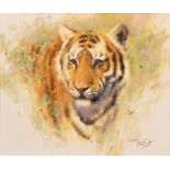 Tony Forrest (b.1961) Tiger Signed, oil on canvas, 23.5cm by 28.5cm Artist's Resale Rights/Droit