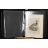 Joseph Smith (1836-1929) Dutch Exotic Ornithology, containing figures and description of new or rare