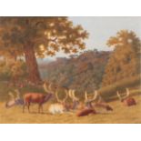 Robert Hills O.W.S (1769-1844) Stags and hinds resting in a parkland landscape Watercolour, 38cm