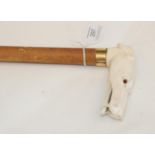 An Ivory-Handled Malacca Walking Cane, circa 1900, the handle naturalistically carved as the head of