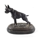 After Pierre-Jules Mêne: A Bronze Figure of a French Bulldog, standing alert on an oval base, signed