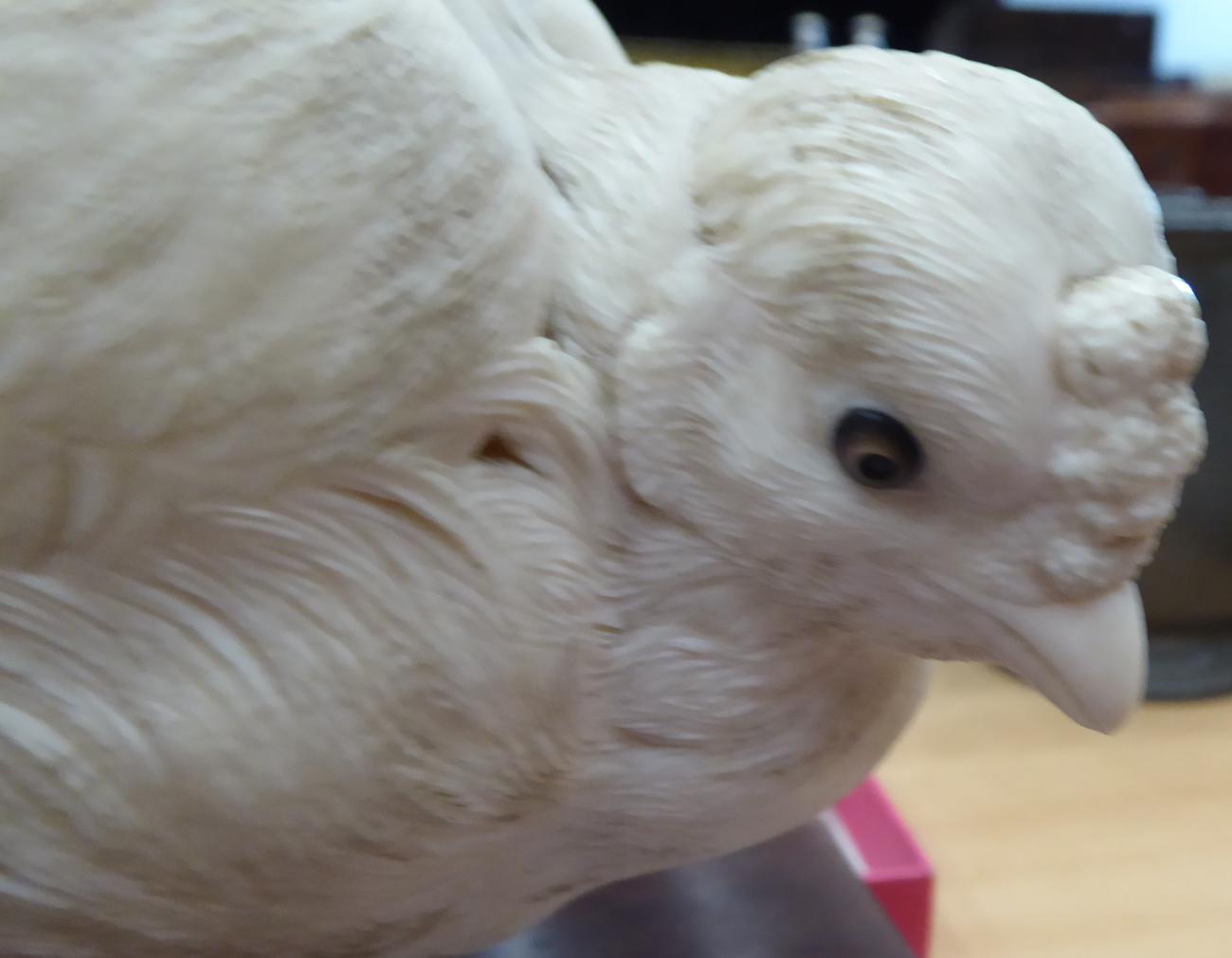 A Japanese Ivory Model of a Chicken, Meiji period, naturalistically modelled standing on a - Image 2 of 9