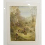 James Stinton, Pheasants in a woodland, signed watercolour 35cm by 25cm