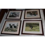 After Steven Townsend, four limited edition colour prints titled 'Champion of the Glen'; 'Tip' ; '