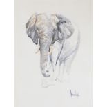 Spencer Hodge (b.1943) Study of an elephant Signed, watercolour, 75cm by 53cm Artist's Resale