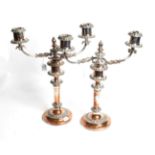 A pair of silver-plated two-light candelabra, 19th century, each on circular base with foliage band,