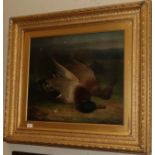 Abel Hold (1815-1896), A brace of mallard, signed, oil on canvas, framed, 50cm by 59.5cm (a.f.)