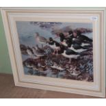 Charles Fredrick Tunnicliffe, Shoreland Waders, signed, limited edition print from Tryon Gallery