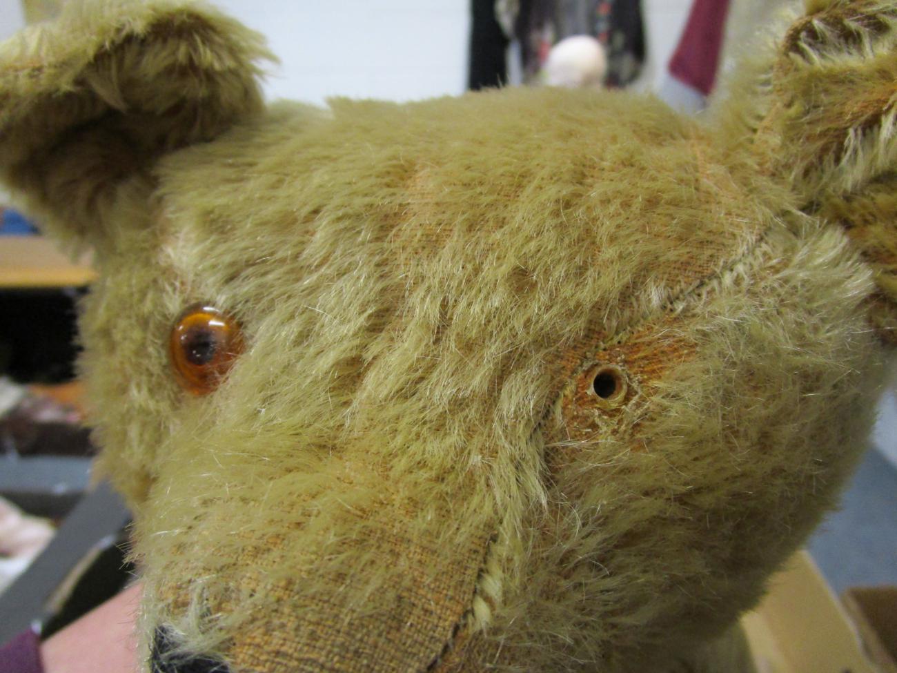 Circa 1930s yellow plush jointed teddy bear with boot button eyes, stitched nose and claws; - Image 8 of 8