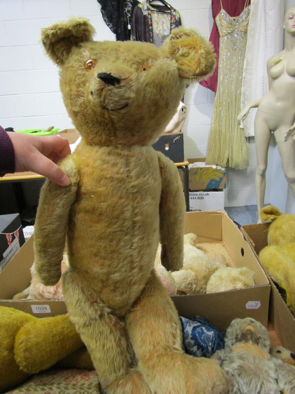 Circa 1930s yellow plush jointed teddy bear with boot button eyes, stitched nose and claws; - Image 7 of 8